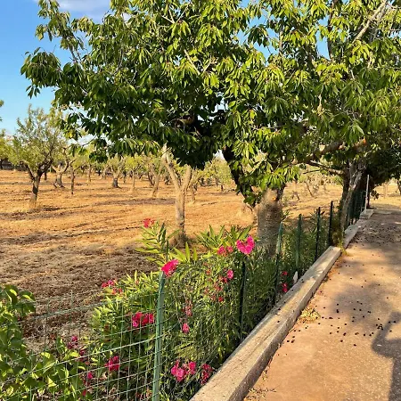 Hébergement de vacances Trulli Ulivi *