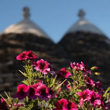 Trulli Ulivi